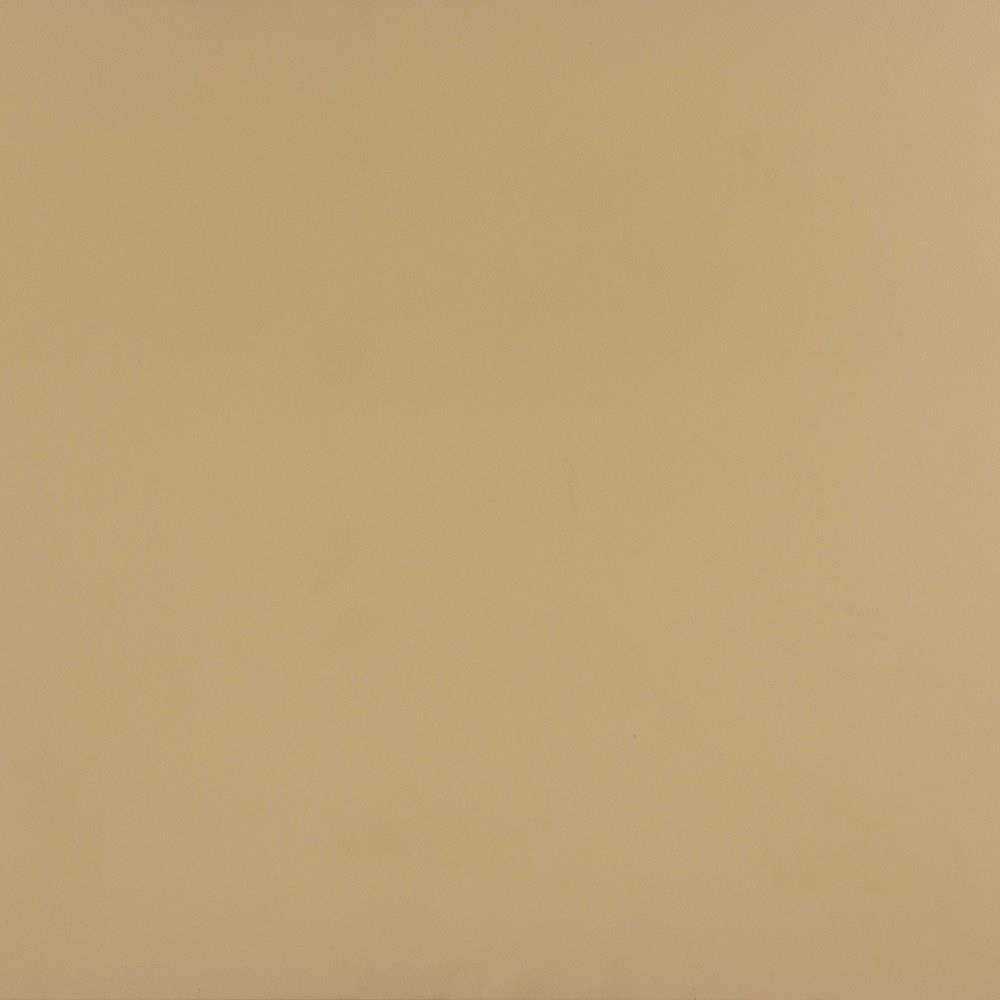 456_101499 | media