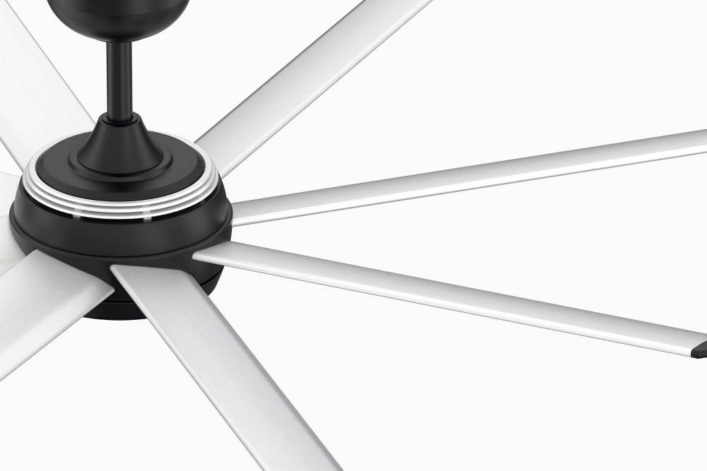 FPD7997BLW-56SLW | detail