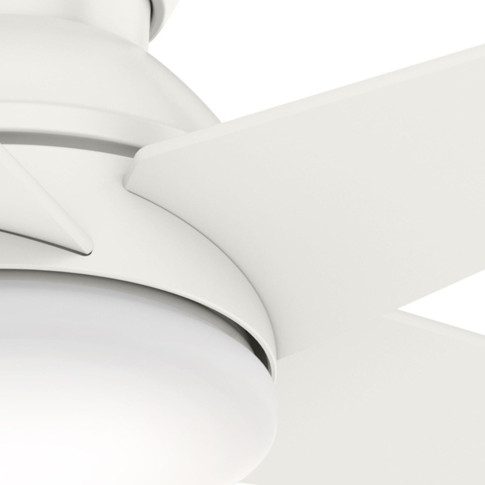 59350 | detail