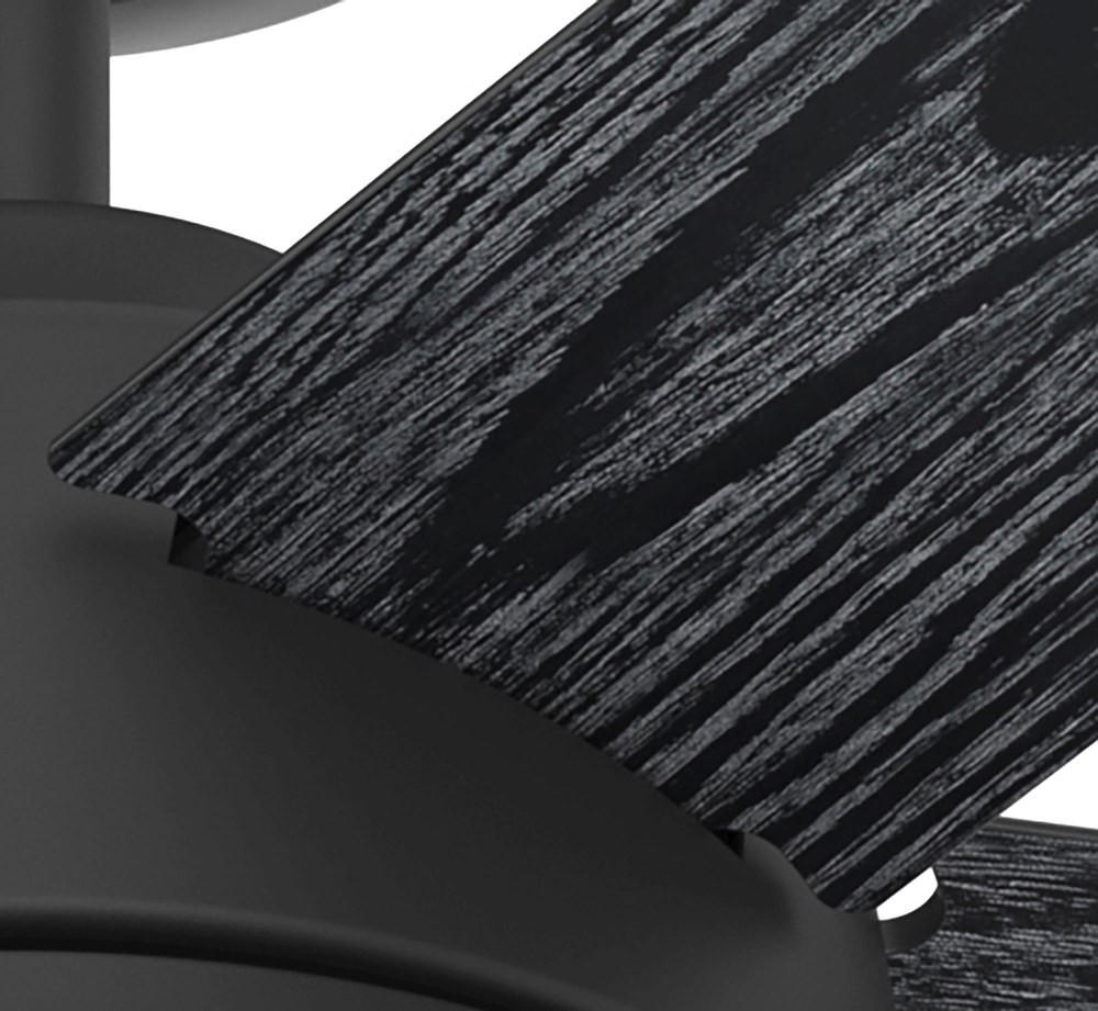 51570 | detail