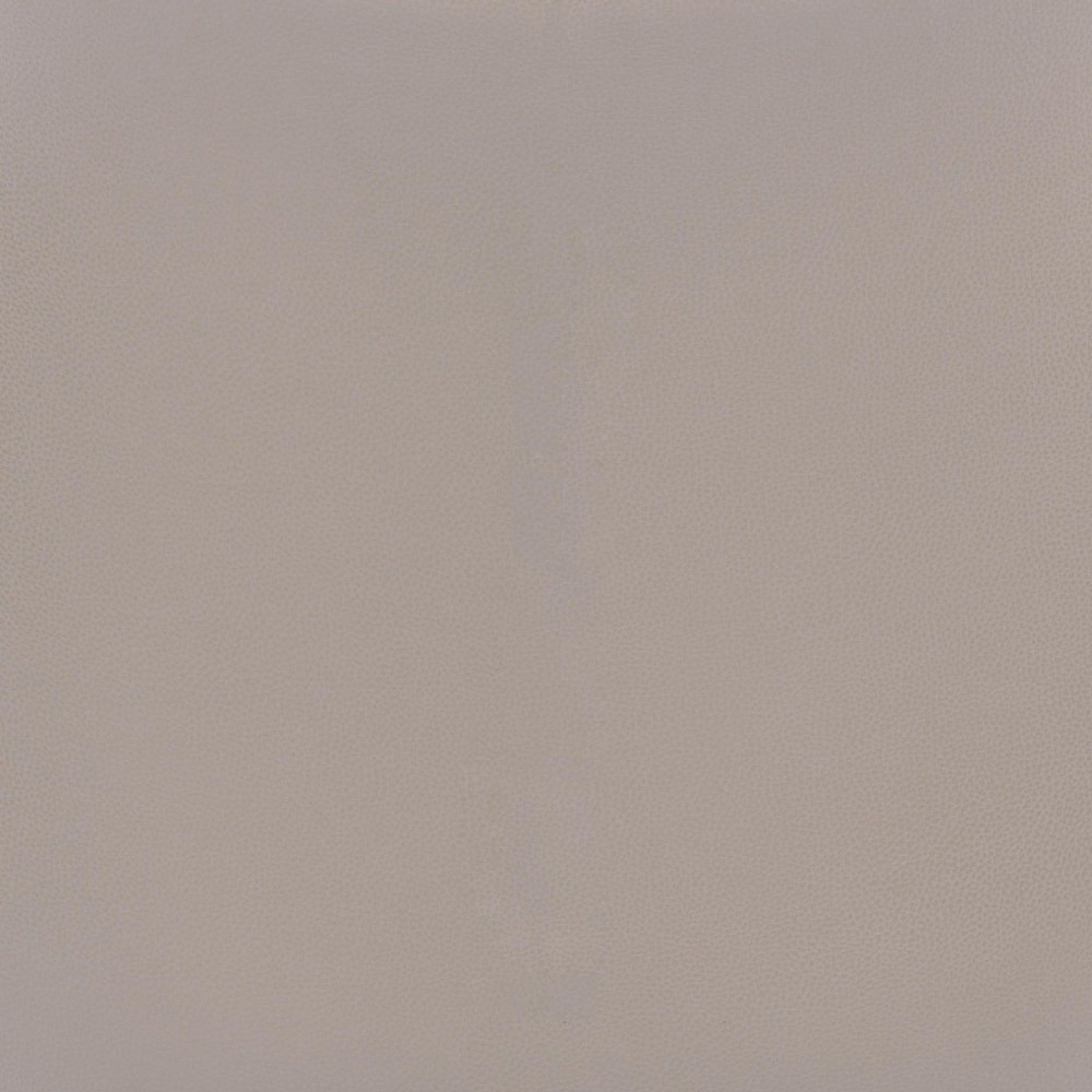 456_101286 | media
