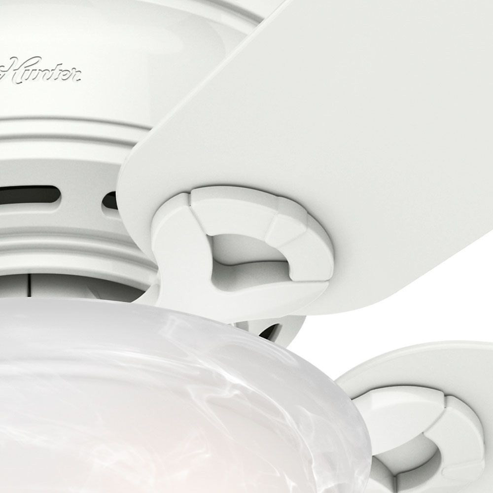 51022 | detail