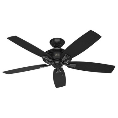 Rainsford 52 Inch Ceiling Fan with Pull Chain by Hunter Fans - 1000359