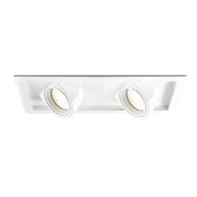Tesla 2 LED Multiple Spots Trim by WAC - MT-5LD225T