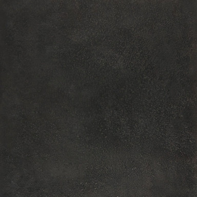 456_109455 | media