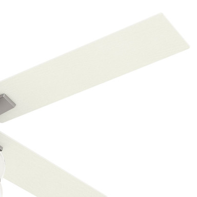 59650 | detail