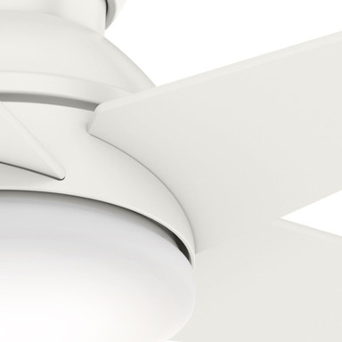 59350 | detail