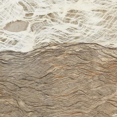 2475_WI12148DS | media