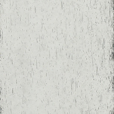 2499_45091/1 | media