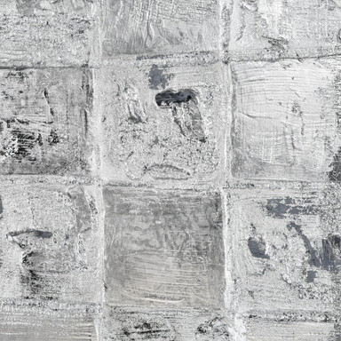 2499_H0016-8219 | media