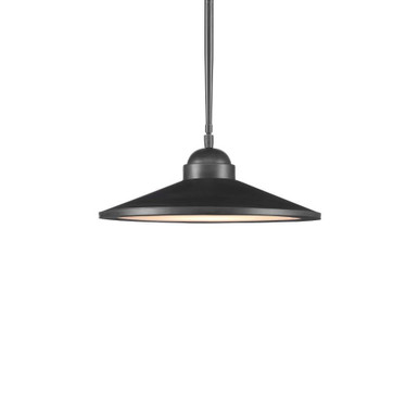 Ditchley 1 Light Large Pendant by Currey Company - 9000-0859