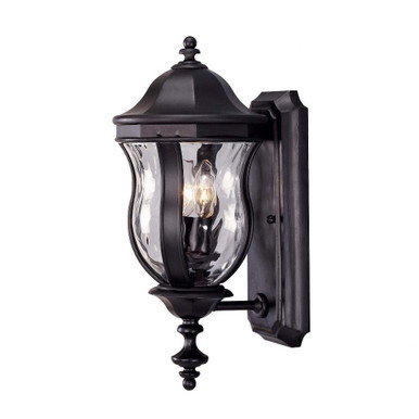 Aylesbury Field 2 Light Outdoor Wall Lantern by Bailey Street Home - 159-BEL-675340