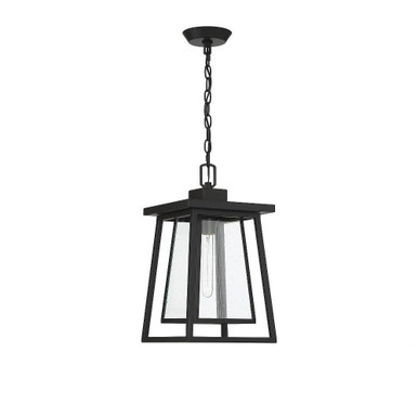 Allison Pleasant 1 Light Small Outdoor Pendant by Bailey Street Home