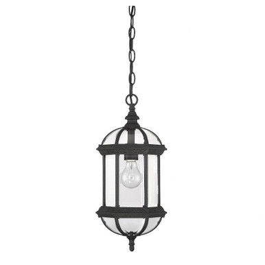 Manchester Meadows 1 Light Small Outdoor Pendant by Bailey Street Home