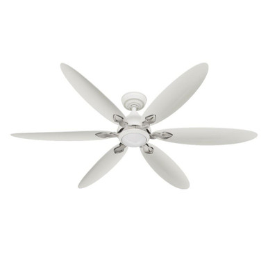 Azalea 6 Blade Ceiling Fan With Light Kit 60 Inch Wide by Casablanca Fans - 53584