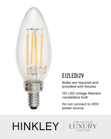 Reid 4 Light Small Chandelier by Hinkley - 29504