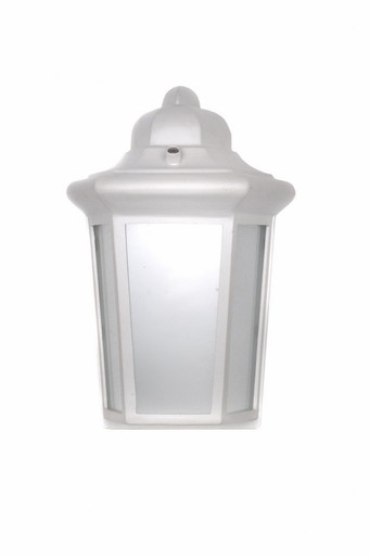 Side Door Ee 1 Light Outdoor Wall Lantern 12.25 Inch Tall by Maxim - 8592