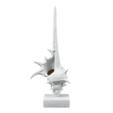 Tigertail 30 Inch Shell Sculpture In Coastal by Elk Home - S0037-11316