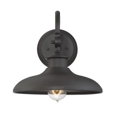 Raliegh 1 Light Outdoor Wall Lantern by Savoy House - 5-9584-BK