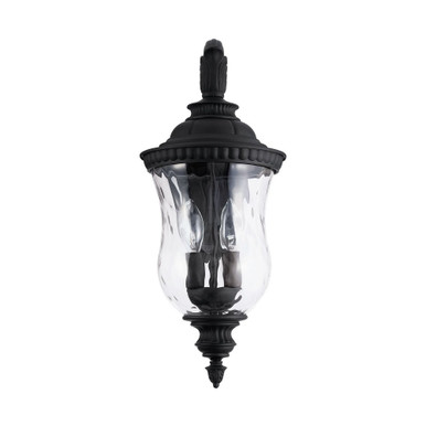 Ashford 2 Light Outdoor Wall Lantern by Capital - 939822