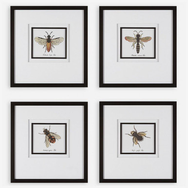 Anthophila 21 Inch Framed Print (Set of 4) by Uttermost - 41428