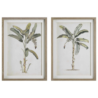 Banana Palm 24.75 Inch Framed Print (Set of 2) by Uttermost - 41446