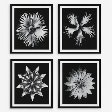 Contemporary Floret 28.13 Inch Framed Print (Set of 4) by Uttermost - 41427