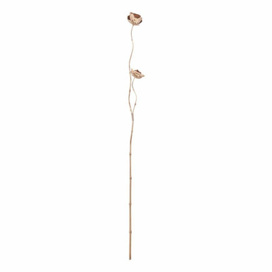 Coronet 6 Inch Lontar Fruit Leaves by Elk Home - 7163-066