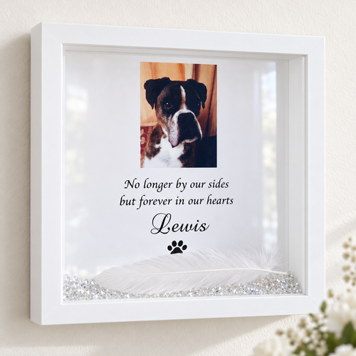 Pet Memory Cremation Ashes Frame | Pet Grief | Memorial Keepsake