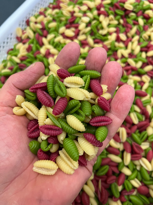 Gnochetti Sardi tricolore All'uovo