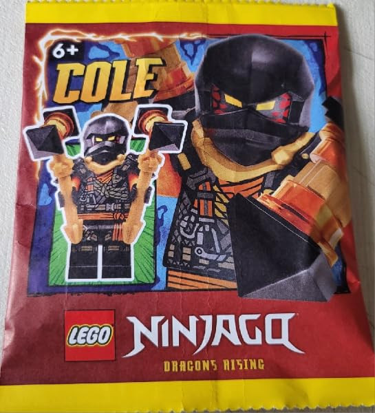 LEGO Ninjago Dragons Rising Season 2: Cole Climber Minifigure with