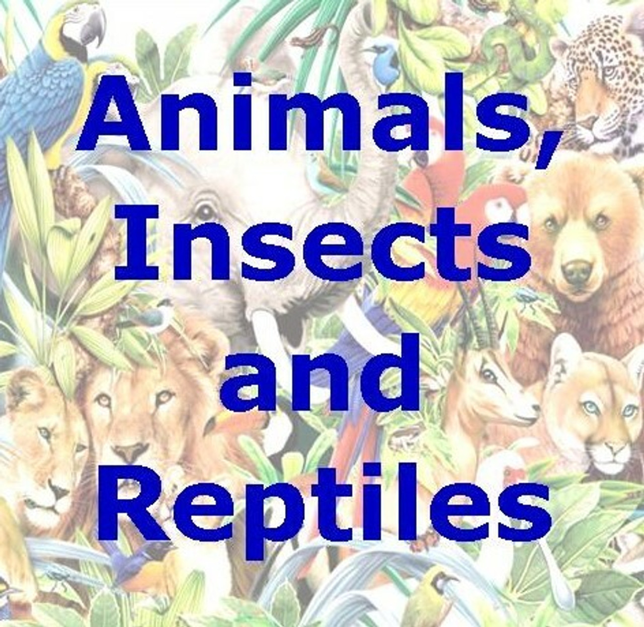 Animals, Insects and Reptiles