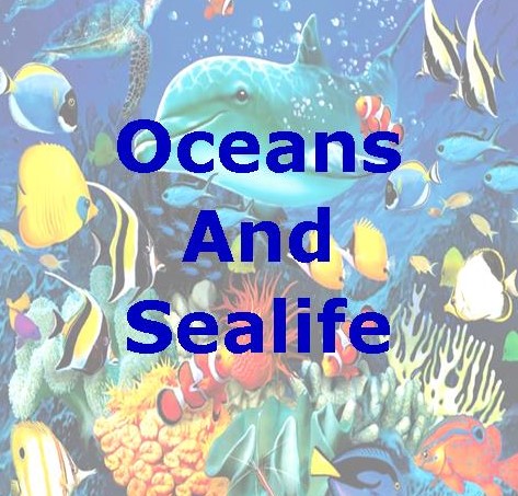 Themes - Oceans and Sealife Jigsaw Puzzles