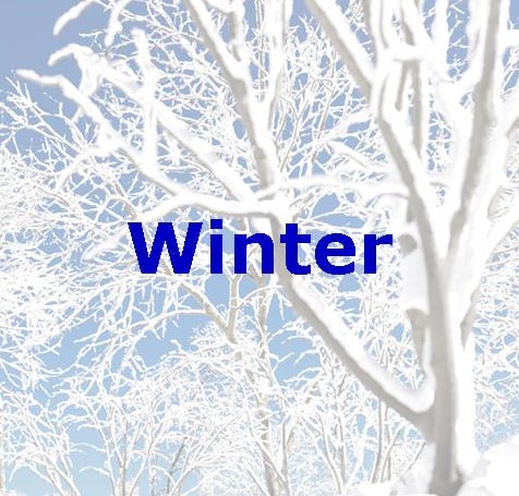 Themes - Winter Jigsaw Puzzles