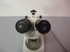 AmScope 2X Microscope, Light Source Doesn't Work, (2) WF10X E.P.