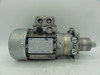 Motori Elettrici TN56B/2 Servo Motor