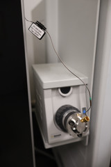 Thermo Scientific TSQ Fortis Triple-Stage Quadruple Mass Spectrometer w/ Thermo Vanquish HPLC