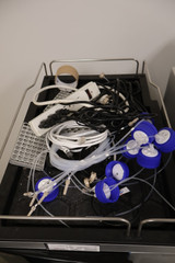 Thermo Scientific TSQ Fortis Triple-Stage Quadruple Mass Spectrometer w/ Thermo Vanquish HPLC