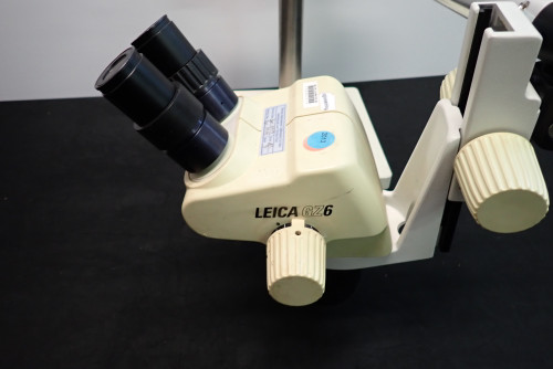 Leica GZ6 Microscope w/Base & Diagnostic Instruments Arm