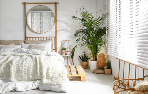 In an analysis of the market for blinds Adelaide is on the up