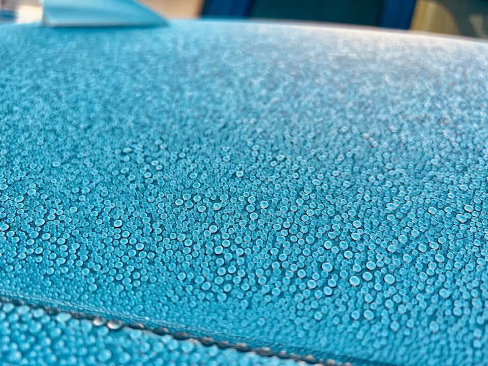 Close-up of water beading on painted surface