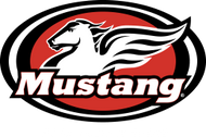 Mustang Seats