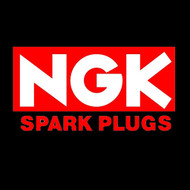NGK Spark Plugs