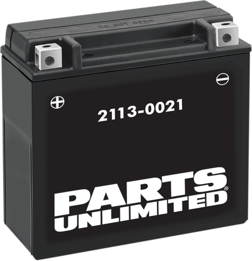 Parts Unlimited High-Performance AGM Maintenance-Free Battery - .95 L