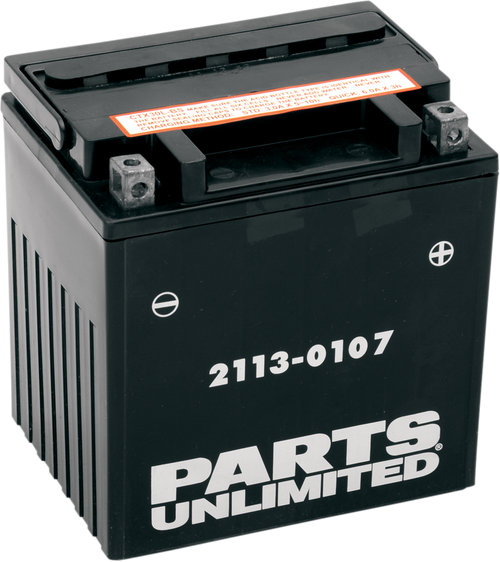 Parts Unlimited AGM Maintenance-Free Battery - YIX30L-BS