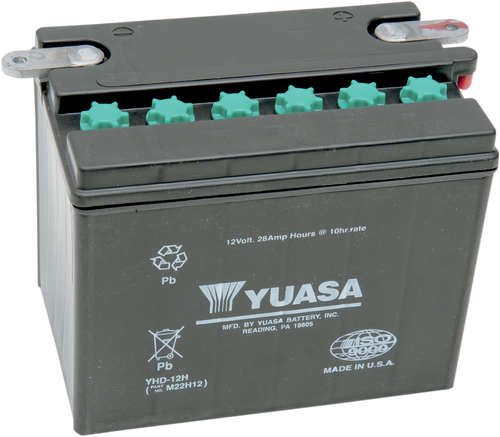 Yuasa Conventional Battery 12V