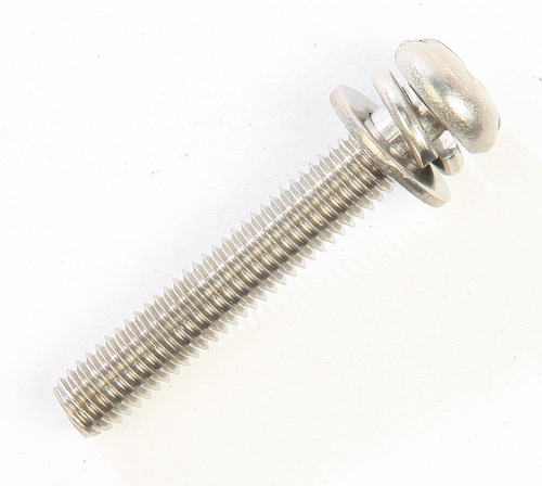 Mikuni Screw W/2 Washers - 30 mm - Stainless