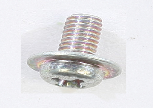 Mikuni Screw