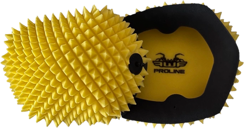 FunnelWeb Air Filter Proline