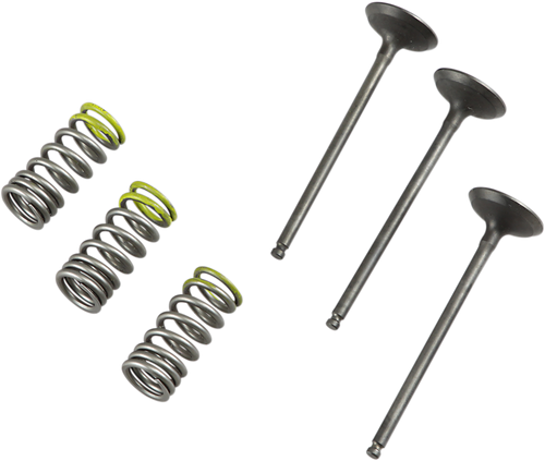 ProX Valve and Spring Kit - Intake - Fits: 2001-2015 Gas Gas & Yamaha (see list) #28.SIS2402-2